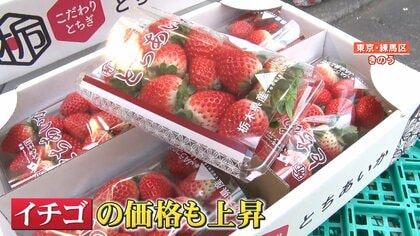 今年はちょっと異例の高さ」冬の味覚に“黄色信号”…「エッグショック
