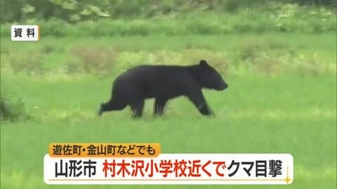 【クマ出没】村木沢小学校から西へ200メートルの雑木林で目撃　遊佐町比子・金山町でも目撃　山形