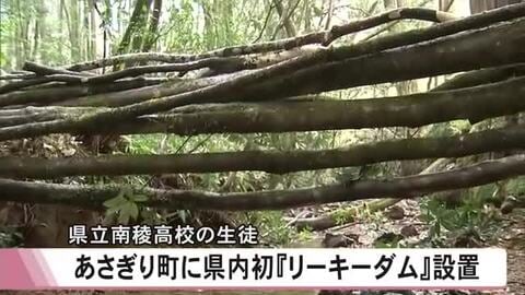 県立南稜高校の生徒が県内初の木材を利用した『リーキーダム』をあさぎり町に設置【熊本】