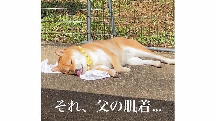 ムニャムニャして寝ていたという