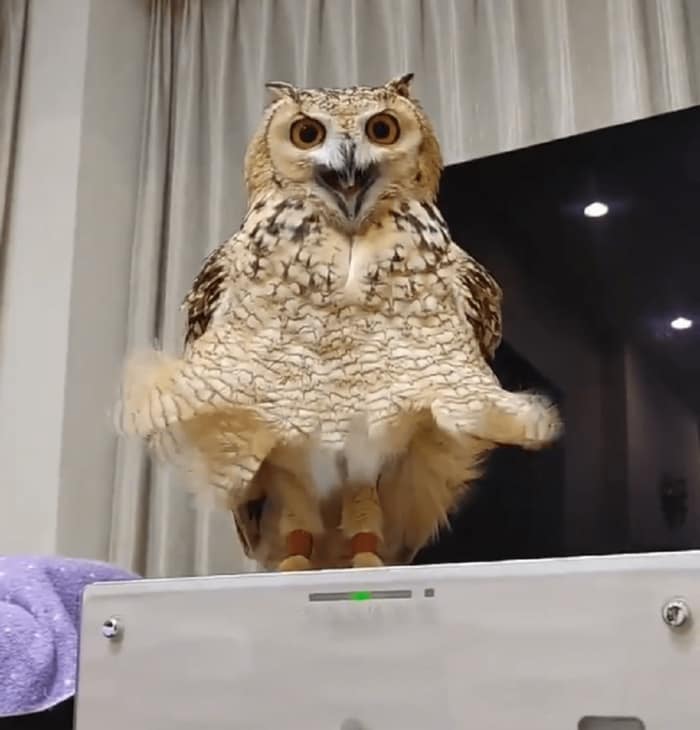 目線もバッチリ
