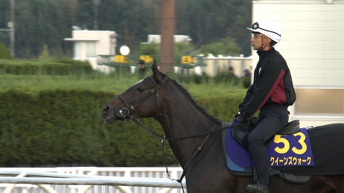クイーンズウォークの調教