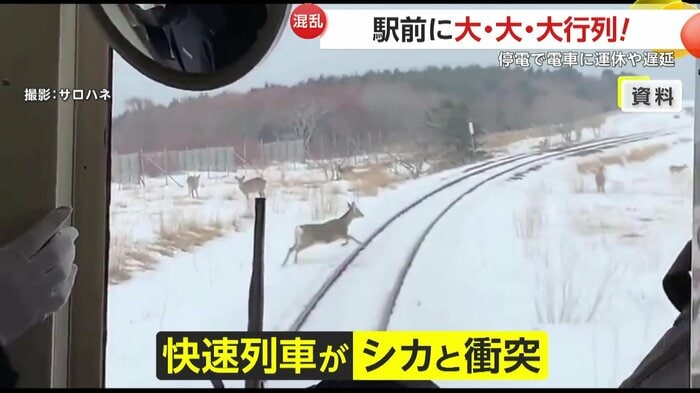 線路に立ち入るシカの様子(資料映像)