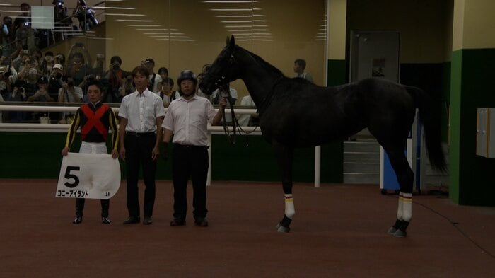 新馬戦を制したコニーアイランド