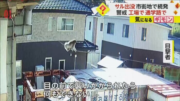 (視聴者撮影)