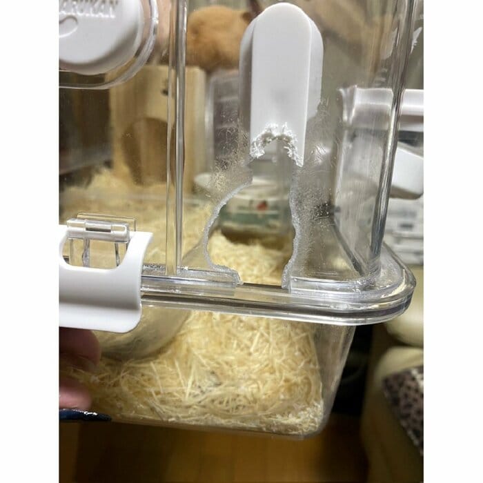プラスチック製のケースに穴を開けて脱走