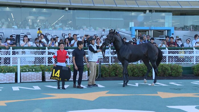 エ二フSを制したインユアパレス