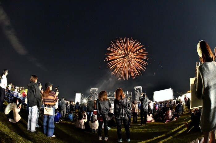 秋の夜空の大花火大会