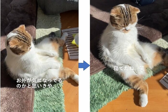 回り込んで見ると…寝ている