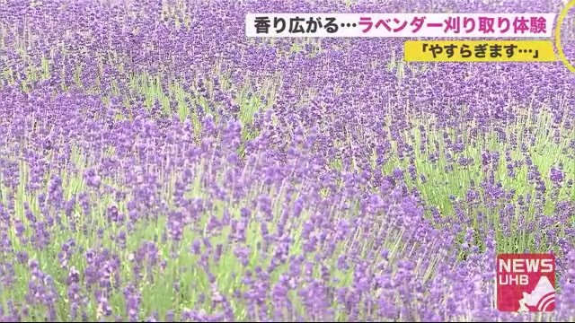 「安らぎます」香り広がる
