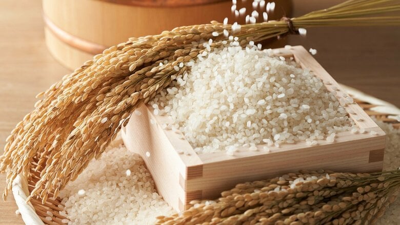 コメが届かず…コメ流通の要である「米卸売業」で“廃業・倒産”リスク上昇か　帝国データバンク調べ｜FNNプライムオンライン
