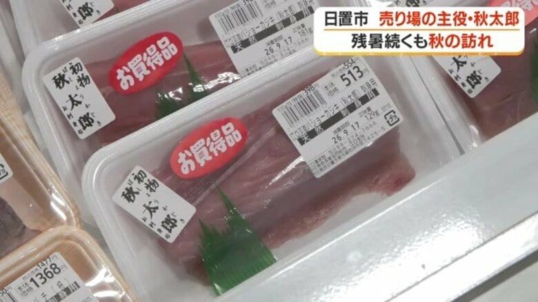 「マグロより旨い」鹿児島の秋の味覚「秋太郎」水揚げ開始 日置市・江口漁港で今年も漁師が夜明け前に出漁|FNNプライムオンライン