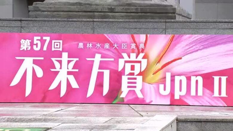 交流レース開催で競馬場にぎわう　不来方賞（Ｊｐｎ2）　岩手県盛岡市｜FNNプライムオンライン
