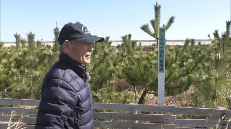 津波で流出した海岸防災林　一本だけ残った復興のシンボル　次の世代へ　植樹し成長を見守る男性　東日本大震災から14年【福島発】｜FNNプライムオンライン