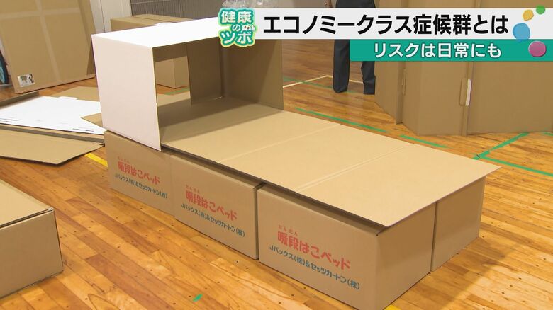 熊本地震で車中泊の避難者に伝えたい 足を動かして、水を飲んで。それだけでも「突然死」のリスクは下げられる 能登半島地震でも被災者ケアにあたった専門家が明かす「段ボールベッドが血栓を防ぐ」意外なメカニズム|FNNプライムオンライン