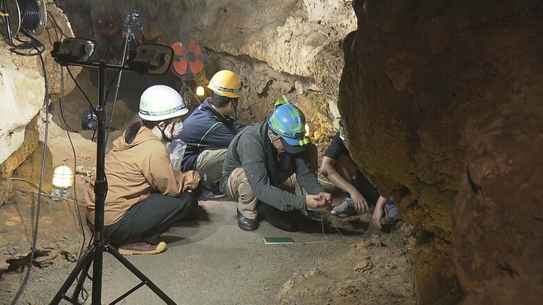 3万年以上前の人類史を紐解く大発見があった普天満宮洞穴遺跡　更なる発見を求めて発掘調査始まる｜FNNプライムオンライン