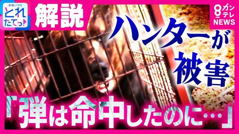 「弾は命中したのに…」　冬眠明けの“巨大ヒグマ”がハンターを襲った恐怖の瞬間　今季初の「ヒグマ人身被害」　専門家が指摘する“危険の連鎖”　GW以降、人里でもさらなる警戒を｜FNNプライムオンライン