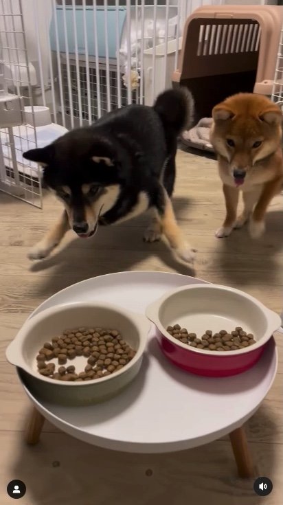 提供：まめふく&ゆめくりさん