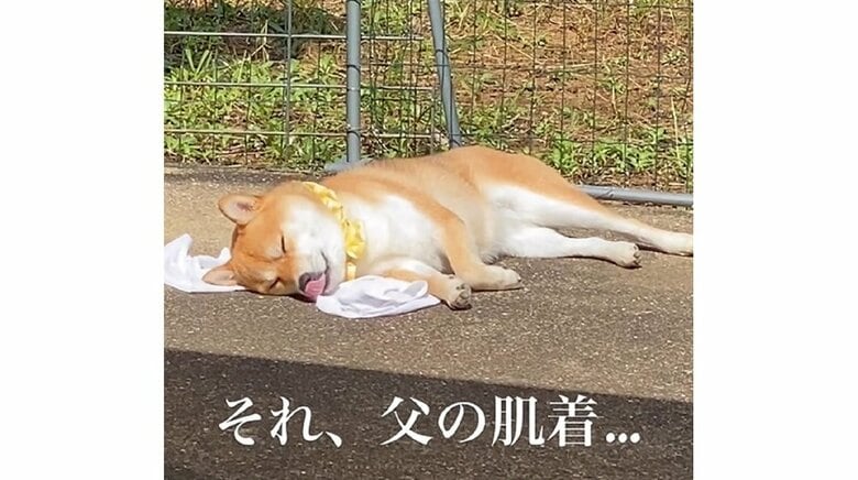 ムニャムニャして寝ていたという