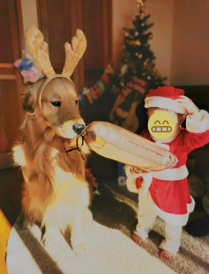 提供：ふぉるてさん