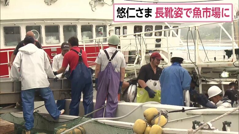 水揚げされたカツオの仕分け作業