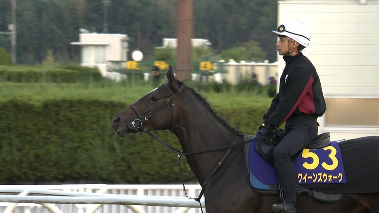 クイーンズウォークの調教