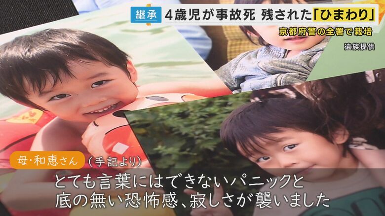 当時４歳だった陽大くん