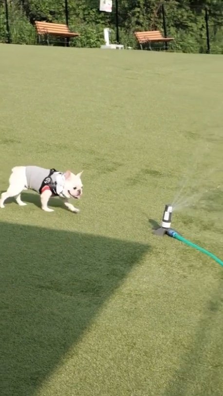 提供：むぎさん