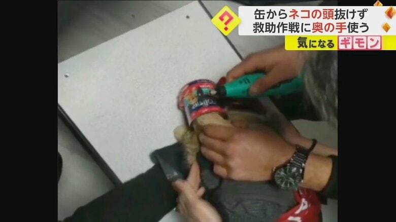 小型の電気カッターでネコがはまった缶を切っていく消防隊員