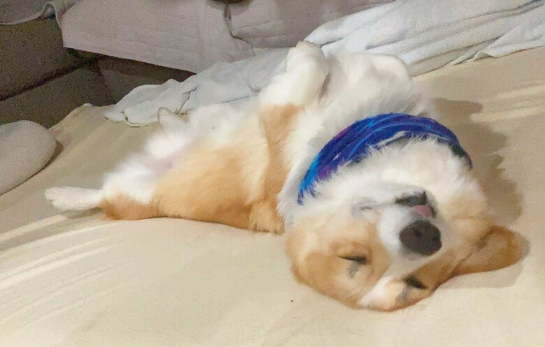 提供：むぎん家＠きよらさん