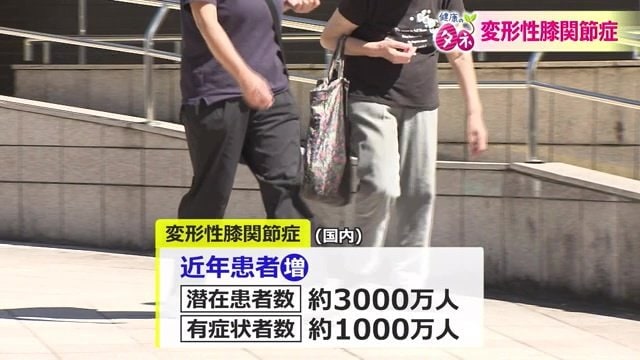 国内で約4000万人が変形性膝関節症というデータも