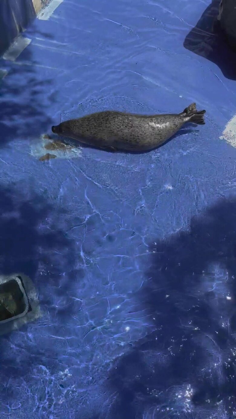 （提供：名古屋市東山動植物園）