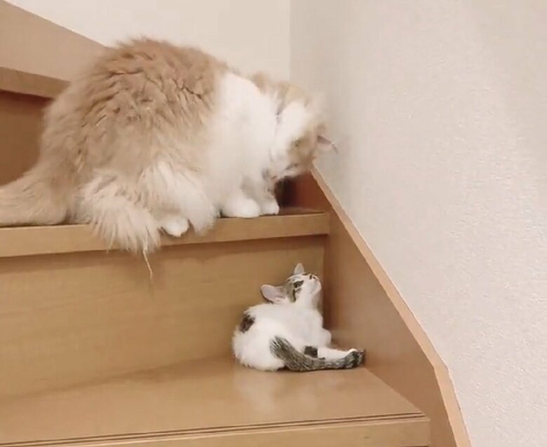 そして、体を起こすと