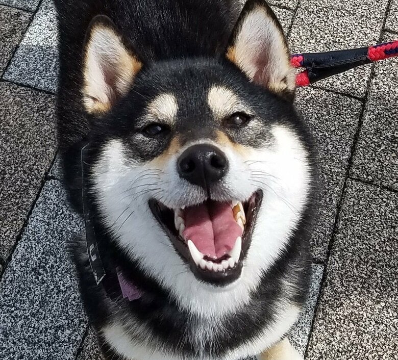 提供：掃除魔さん