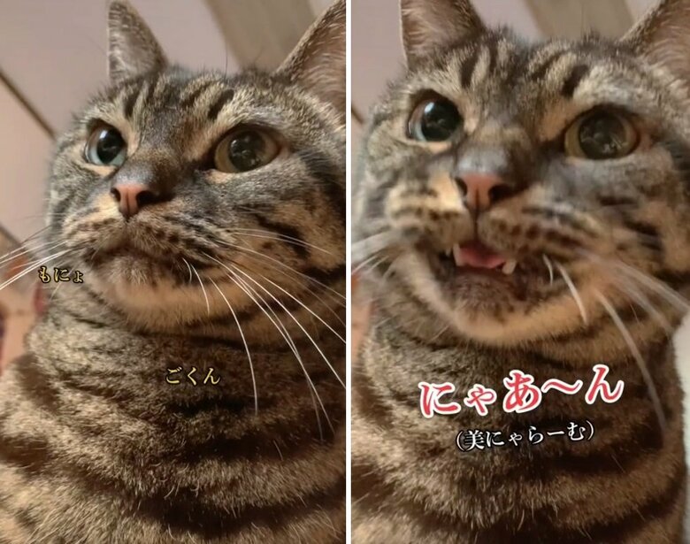 お口を「もにょっ」と動かすのもクセ？