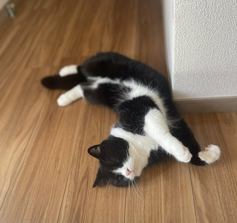 別の日も廊下でまったり