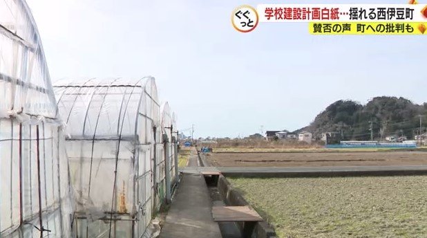 校舎が建つと太田さんのハウスは日陰になるという