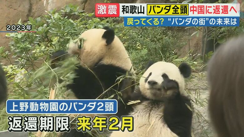 上野動物園の双子パンダも来年2月返還期限