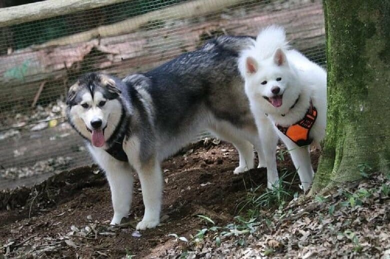 一緒に遊んで仲良し