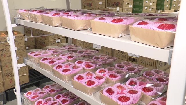 目利きのスタッフが東京で買い付けた新鮮な果物が届く