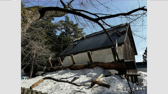 2025年2月の大雪による被害（撮影：土津神社）
