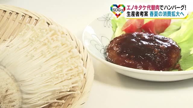 お味は？エノキタケの「代替肉」　春夏の消費拡大へ生産者が考案　健康志向の高まりやSDGｓで注目