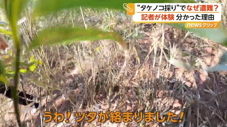 タケノコ採りでの遭難が多くなっている北海道