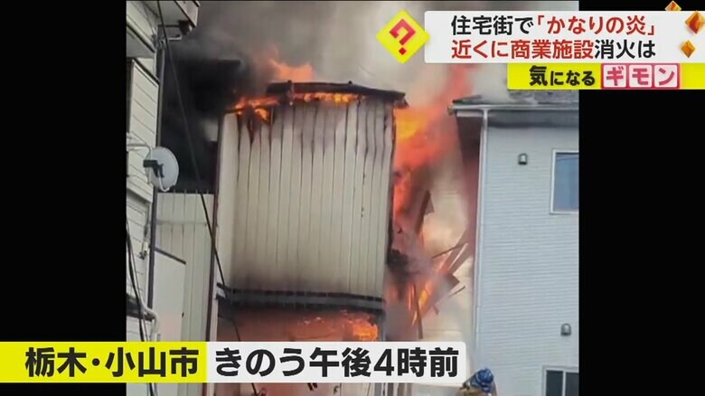 （視聴者撮影）