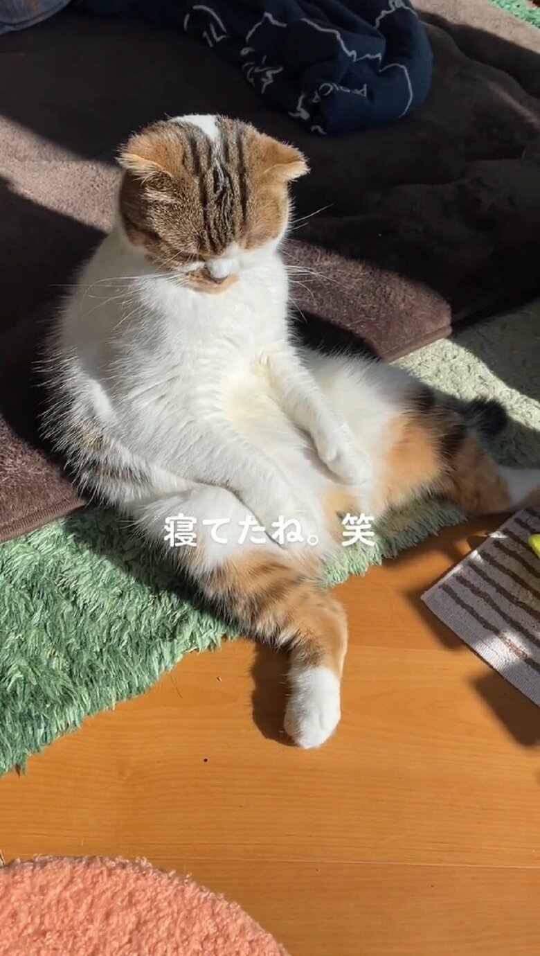 動かして