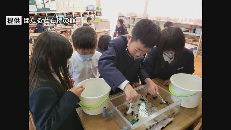 提供：ほたると石橋の館