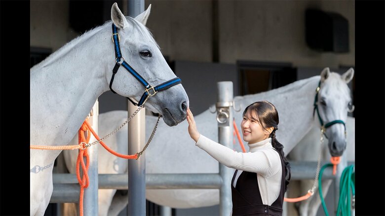 １１月２１日撮影（皇居・車馬課主馬班厩舎）宮内庁提供