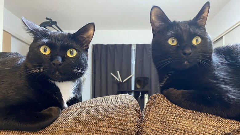 こんなに成長しました