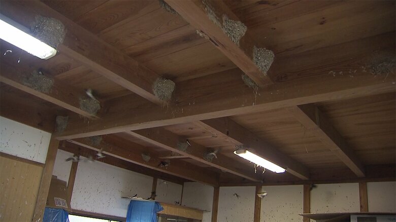 長屋や倉庫の軒下に作られたツバメの巣