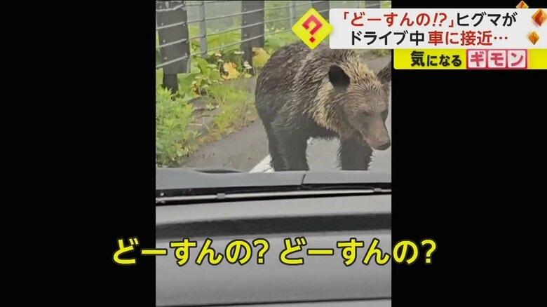 （FNN投稿サイト「ビデオPost」）